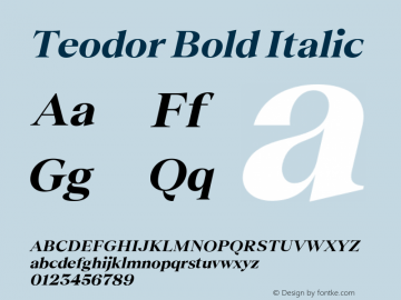 Teodor Bold Italic Version 3.000;FEAKit 1.0图片样张
