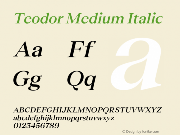 Teodor Medium Italic Version 3.000;FEAKit 1.0图片样张