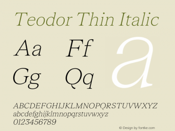 Teodor Thin Italic Version 3.000;FEAKit 1.0图片样张