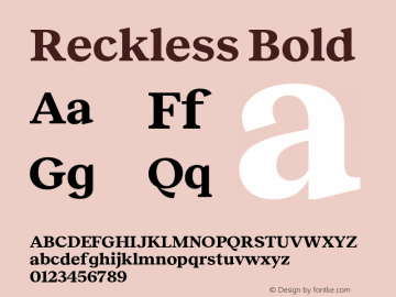 Reckless Bold Version 3.000;FEAKit 1.0图片样张