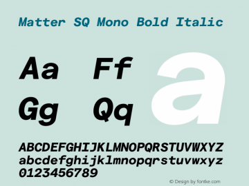 Matter SQ Mono Bold Italic Version 1.021;FEAKit 1.0图片样张