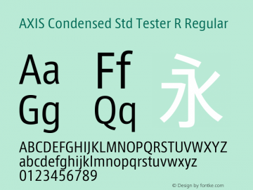AXIS Condensed Std Tester R Regular Version 1.021;PS 2.007;hotconv 1.0.50;makeotf.lib2.0.16970; TT 0.93图片样张