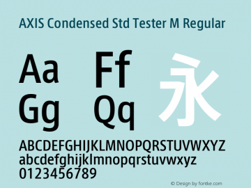 AXIS Condensed Std Tester M Regular Version 1.021;PS 2.007;hotconv 1.0.50;makeotf.lib2.0.16970; TT 0.93图片样张