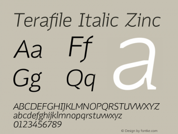Terafile Italic Zinc Version 1.000;FEAKit 1.0图片样张