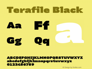 Terafile Black Version 1.000;FEAKit 1.0图片样张