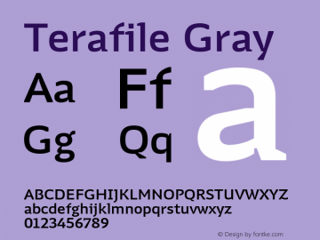 Terafile Gray Version 1.000;FEAKit 1.0图片样张