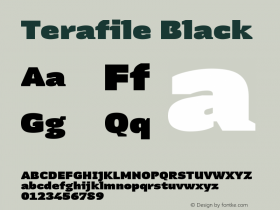 Terafile Black Version 1.000图片样张