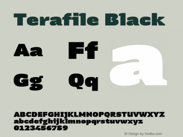 Terafile Black Version 1.000图片样张