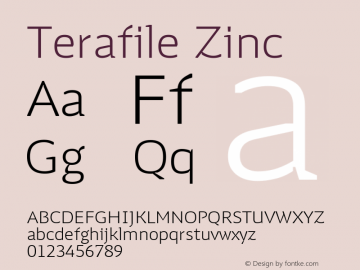 Terafile Zinc Version 1.000图片样张