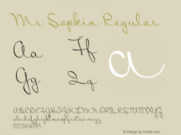 Mr Sopkin Regular Version 001.000 Font Sample