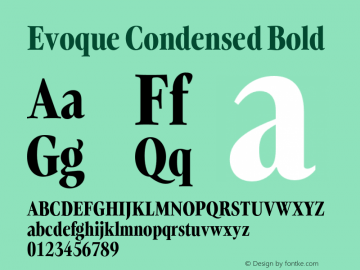 Evoque Condensed Bold Version 1.000;FEAKit 1.0图片样张