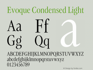 Evoque Condensed Light Version 1.000;FEAKit 1.0图片样张