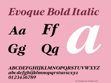 Evoque Bold Italic Version 1.000;FEAKit 1.0图片样张