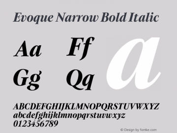 Evoque Narrow Bold Italic Version 1.000;FEAKit 1.0图片样张