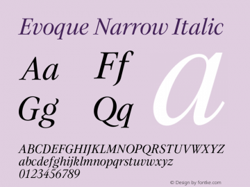 Evoque Narrow Italic Version 1.000;FEAKit 1.0图片样张
