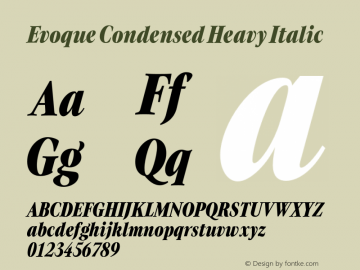 Evoque Condensed Heavy Italic Version 1.000;FEAKit 1.0图片样张