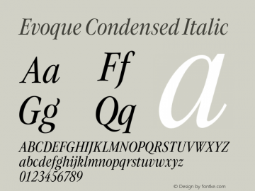 Evoque Condensed Italic Version 1.000;FEAKit 1.0图片样张