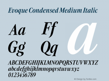 Evoque Condensed Medium Italic Version 1.000;FEAKit 1.0图片样张