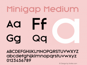 Minigap Medium Version 1.017;Fontself Maker 3.5.7图片样张