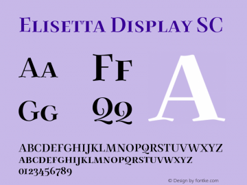 Elisetta Display SC Version 1.000图片样张