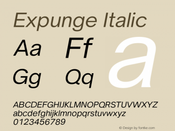 Expunge Italic Version 1.000;FEAKit 1.0图片样张