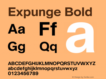 Expunge Bold Version 1.000;FEAKit 1.0图片样张