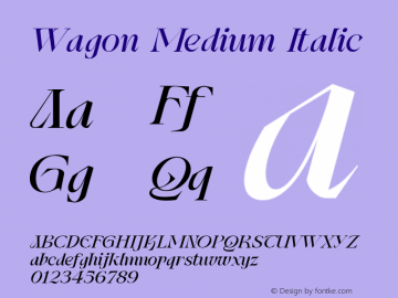 Wagon Medium Italic Version 1.000 | web-ttf图片样张