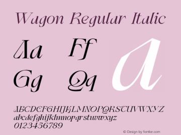 Wagon Italic Version 1.000 | web-ttf图片样张