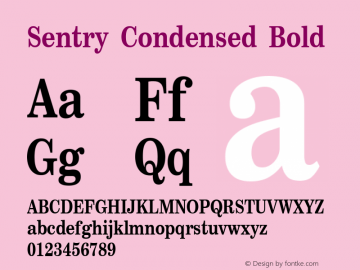 Sentry Condensed Bold Version 1.000 | web-ttf图片样张