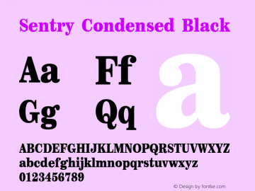 Sentry Condensed Black Version 1.001 | web-ttf图片样张