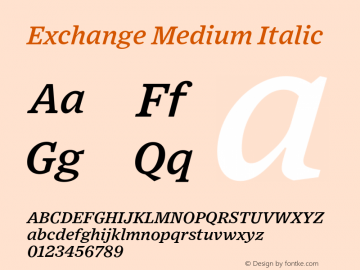 Exchange Medium Italic Version 1.001;PS 0.001;hotconv 16.6.51;makeotf.lib2.5.65220图片样张