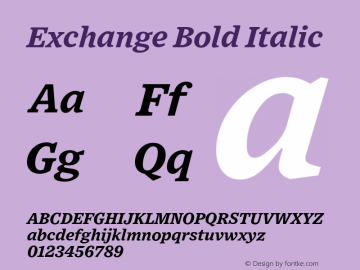 Exchange Bold Italic Version 1.001;PS 0.001;hotconv 16.6.51;makeotf.lib2.5.65220图片样张