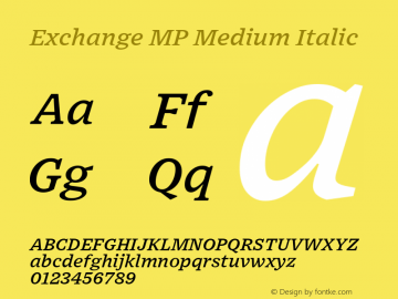 Exchange MP Medium Italic Version 1.001;PS 0.001;hotconv 16.6.51;makeotf.lib2.5.65220图片样张