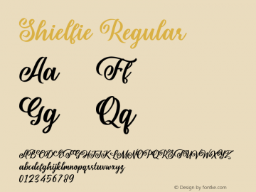 Shielfie Version 1.00;November 11, 2021;FontCreator 12.0.0.2563 64-bit图片样张