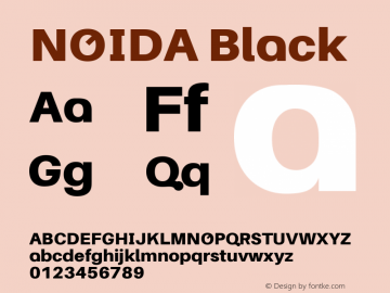 NOIDA Black Version 1.102图片样张