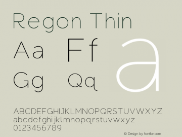 Regon Thin Version 1.000图片样张