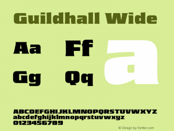 Guildhall Wide Version 2.000;FEAKit 1.0图片样张
