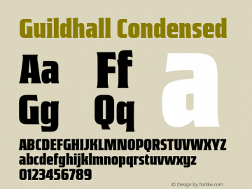 Guildhall Condensed Version 2.000;FEAKit 1.0图片样张