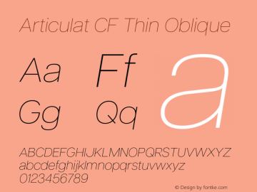 Articulat CF Thin Oblique Version 3.200;FEAKit 1.0图片样张