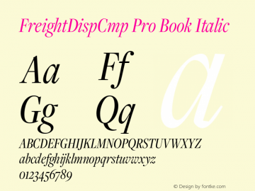 FreightDispCmpProBook-Italic Version 1.001图片样张