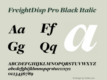 FreightDisp Pro Black Italic Version 3.000图片样张