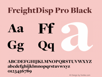 FreightDisp Pro Black Version 3.000图片样张