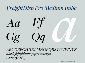 FreightDisp Pro Medium Italic Version 3.000图片样张
