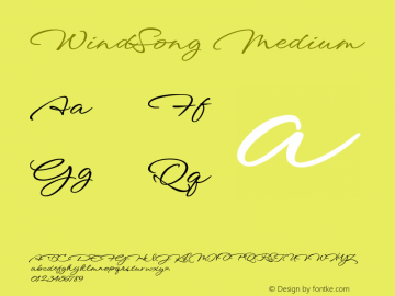 WindSong Medium Version 1.010; ttfautohint (v1.8.3)图片样张