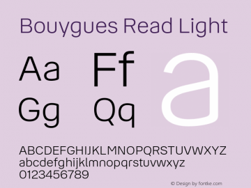 Bouygues Read Light Version 1.0图片样张