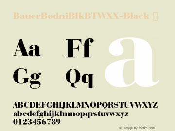 ☞BauerBodni Blk BT WXX Black Version 1.10;com.myfonts.easy.bitstream.bauer-bodoni.black.wfkit2.version.4QaU图片样张