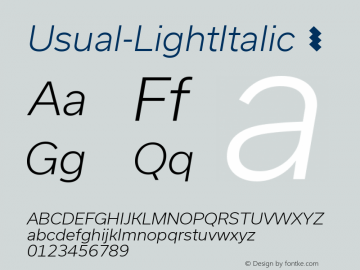 ☞Usual-LightItalic Version 1.001;com.myfonts.easy.r-type.usual.light-italic.wfkit2.version.4vRb图片样张