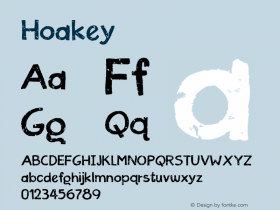 ☞Hoakey Version 1.000;com.myfonts.pizzadude.hoakey.regular.wfkit2.3nhb图片样张