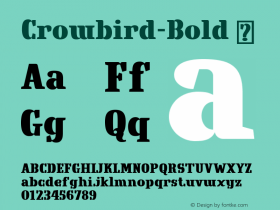 ☞Crowbird Bold Version 1.004;com.myfonts.easy.nobodoni.crowbird.bold.wfkit2.version.3WXa图片样张