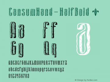 ☞CansumHand-HalfBold Version 1.000;com.myfonts.easy.world-of-the-fonts.cansum-hand.half-bold.wfkit2.version.4tVL图片样张